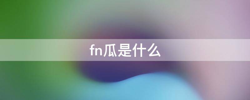 fn瓜是什么 FN-FNC