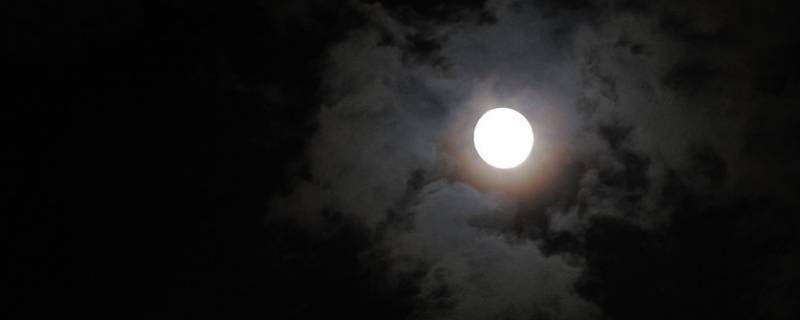 我说今晚的月亮很美你说是的含义 我说今晚的月亮很美你说是的歌词含义