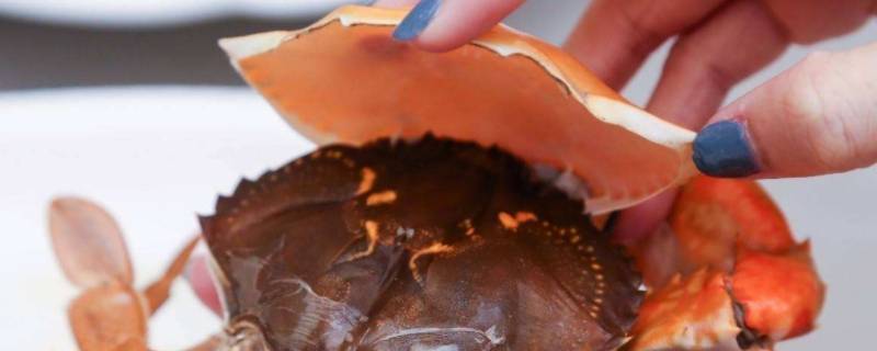 双壳蟹为什么是最肥的 螃蟹最肥美