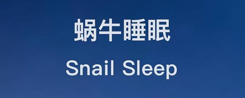 蜗牛睡眠的精选鼾声是全部吗 蜗牛睡眠打鼾时间是整晚吗