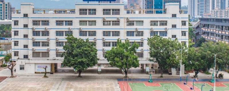 深圳市云端学校是什么 深圳云端学校是什么意思