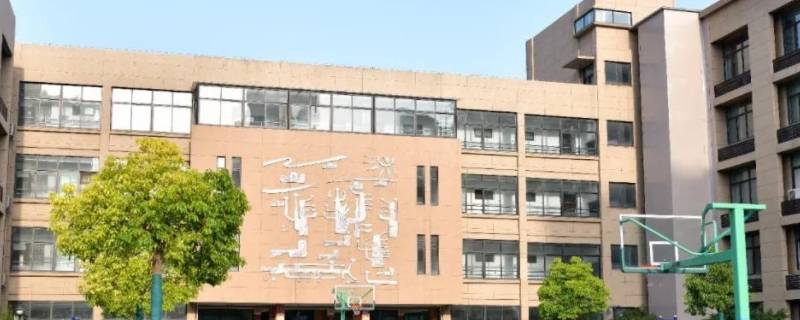 金明实验小学是区重点小学吗 金明小学和金明实验小学哪个好些