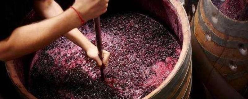 酿葡萄酒用什么酒曲 葡萄酒的制作方法需要酒曲吗