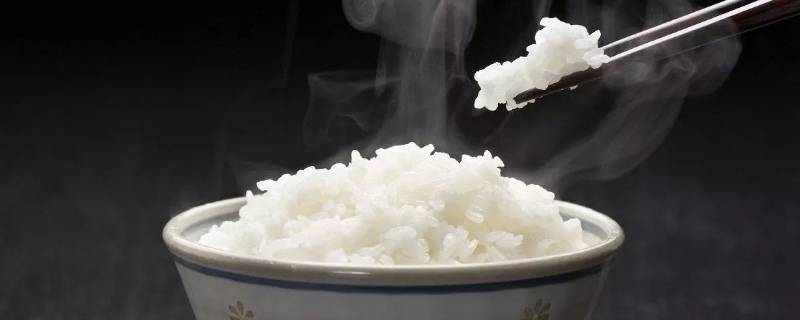 焖大米饭的步骤是什么 焖大米饭的方法