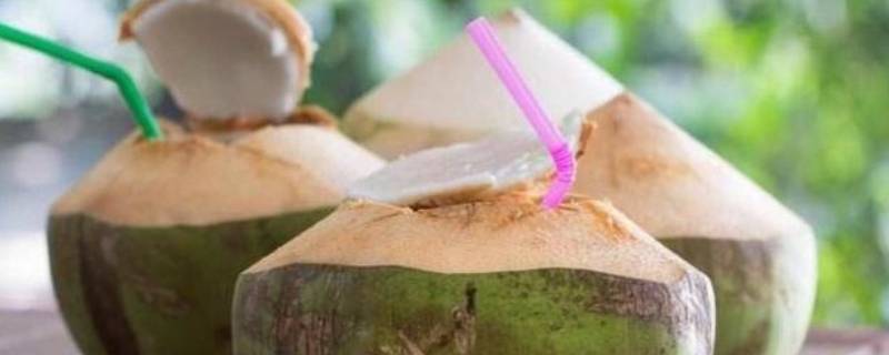 怎么打开椰子壳取椰肉最简单 怎么打开椰子