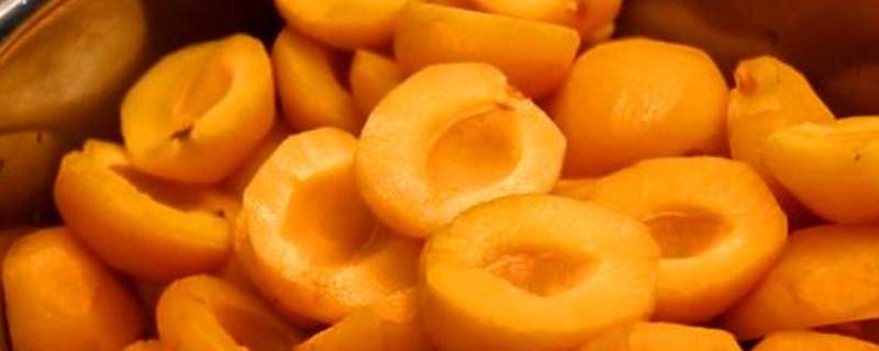 杏罐头的自制方法怎么去皮窍门 杏罐头的自制方法怎么去皮窍门视频