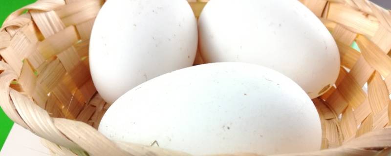 鹅蛋的简单做法 鹅蛋最简单的做法