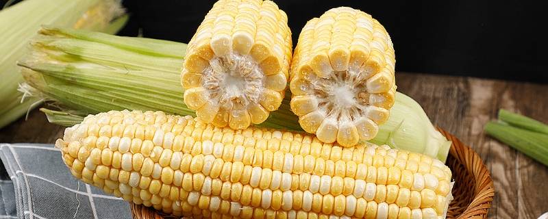 玉米的保鲜与贮藏 大量玉米保鲜储存方法