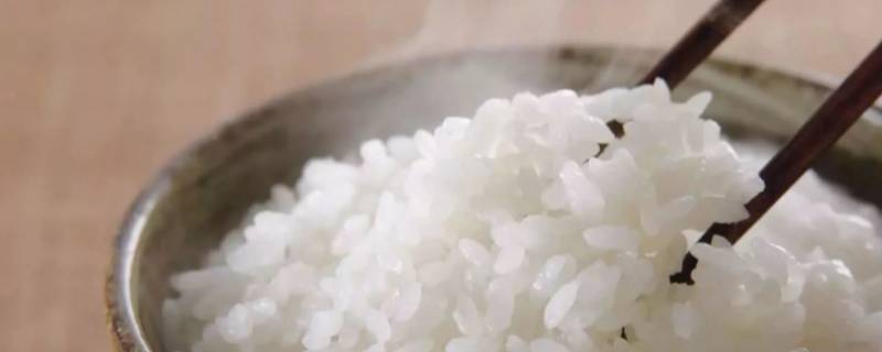 米饭可以冷冻保存多久 米饭冷冻放多久