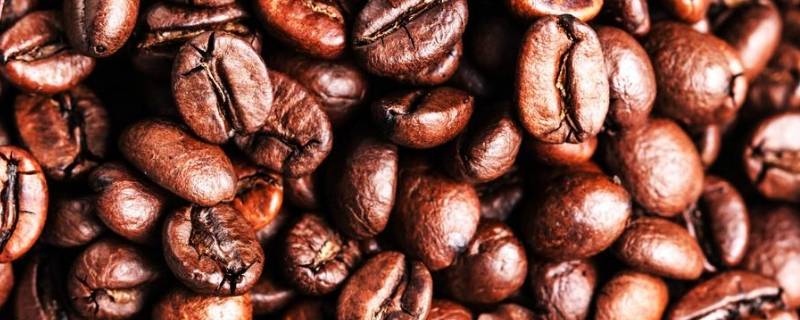 咖啡豆怎么吃法 咖啡生豆怎么吃法