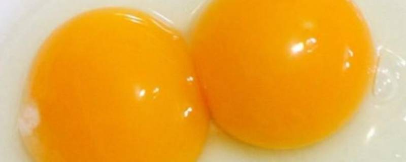蛋黄怎么吃 宝宝蛋黄怎么吃