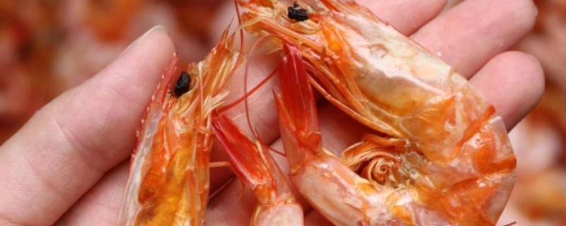 带壳大虾干怎么做好吃又简单 带壳大虾干怎么做好吃