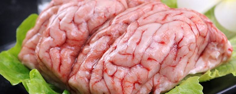 猪脑子怎么吃火锅 猪脑子怎么吃