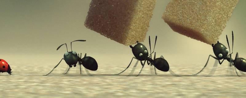 怎么去蚂蚁庄园揍别人的鸡 怎么去蚂蚁