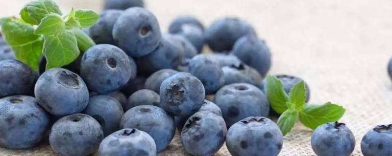 蓝莓怎么吃好吃又简单 蓝莓怎么吃才好吃
