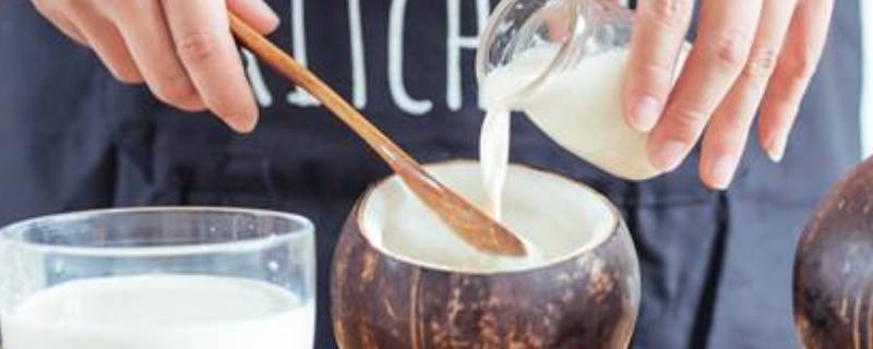 椰子粉怎么调制椰奶 椰浆粉怎么调成椰奶