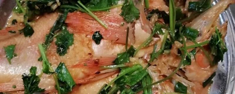 红石斑鱼怎么吃 红石斑鱼怎么吃好吃