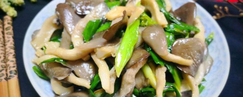 蘑菇怎么炒好吃又简单的做法 蘑菇怎么炒好吃家常做法