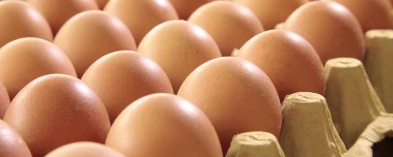 立鸡蛋是生的还是熟的 立春立鸡蛋生的还是熟的