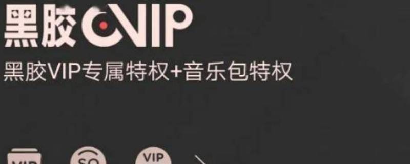 黑胶vip是什么意思（黑胶vip是什么意思网络用语）