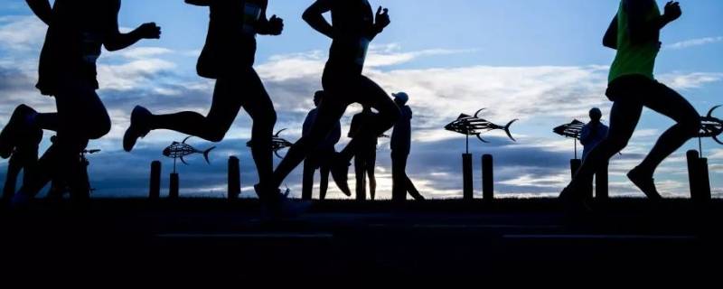 马拉松男女记录 马拉松世界纪录男女分别是多少
