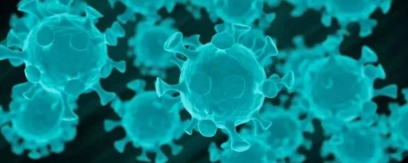 新冠病毒属于什么类传染病 新冠病毒属于什么类传染病作为甲类防控
