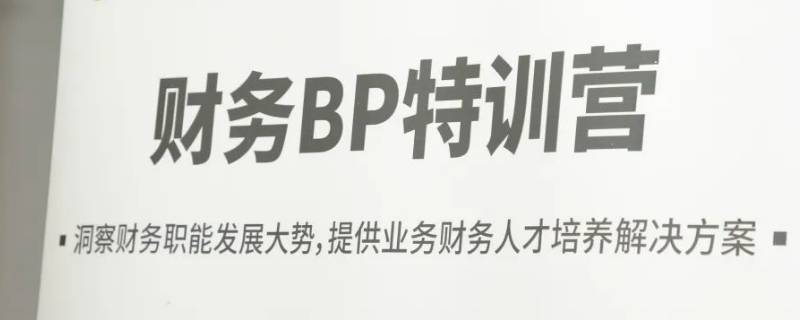 财务BP是什么意思? 财务bp是什么意思？