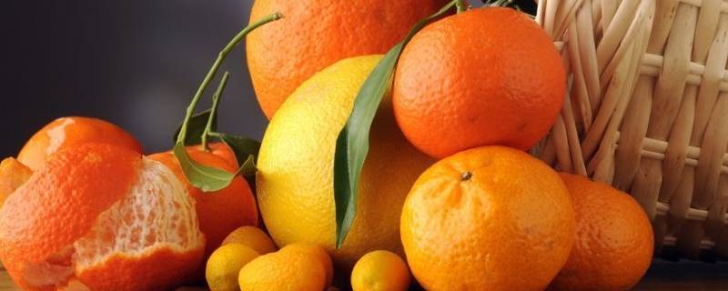 为什么水手常吃柑橘类水果 以前为什么水手常吃柑橘类水果