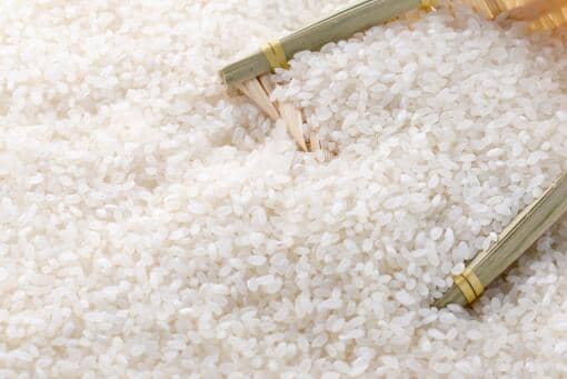 大米价格多少钱一斤