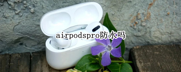 airpodspro防水吗（airpodspro防水吗,进洗衣机了）