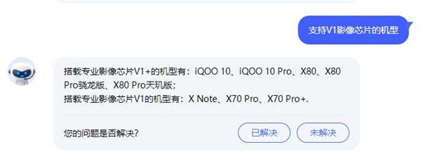 iqoo10有独立显示芯片吗
