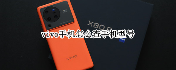 vivo手机怎么查手机型号 ViVO怎么查手机型号