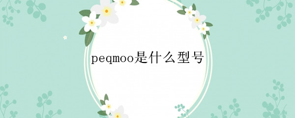 peqmoo是什么型号（peqm00是什么型号的手机）