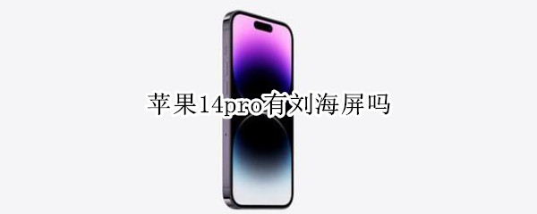 苹果14pro有刘海屏吗（苹果11pro屏幕有刘海吗）