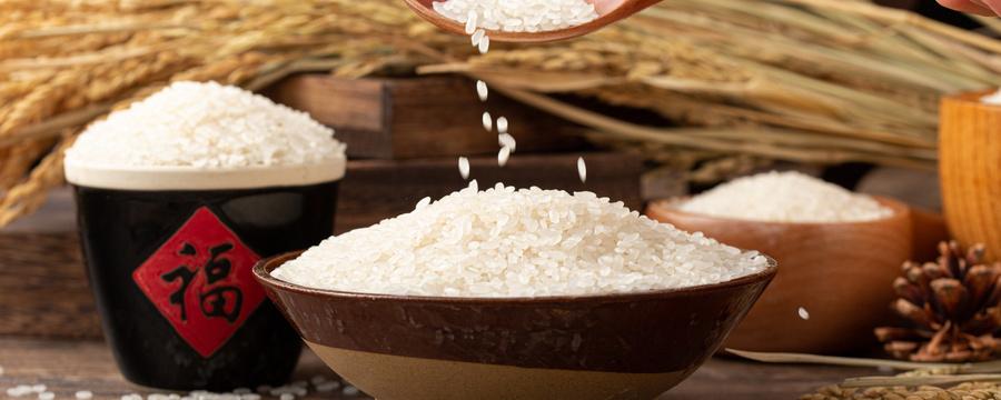 绿竹米是什么米怎么吃（绿竹米怎么吃?）