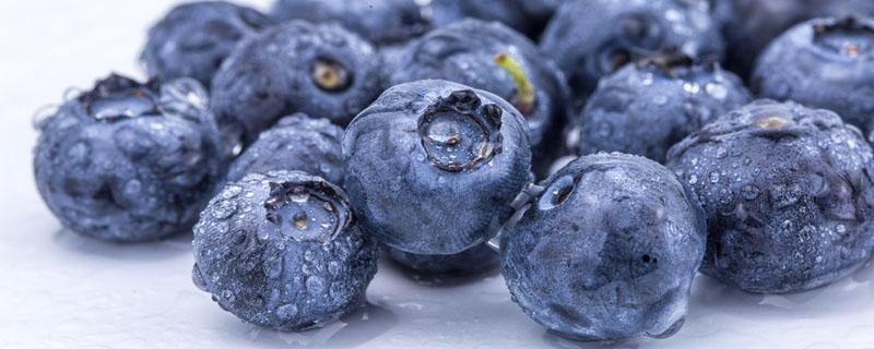 吃蓝莓大便是黑色的正常吗 吃蓝莓拉的屎是黑色的吗