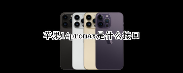 苹果14promax是什么接口（12promax 接口）