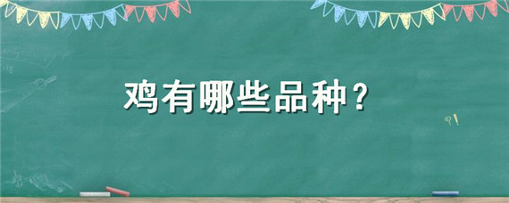 特种鸡有哪些品种 鸡有哪些品种