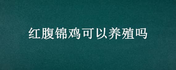 红腹锦鸡可以养殖吗有毒吗 红腹锦鸡可以养殖吗