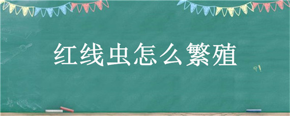 红线虫怎么繁殖视频教程 红线虫怎么繁殖