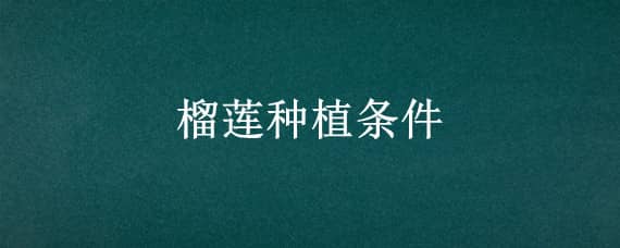 榴莲种植条件及技术 榴莲种植条件