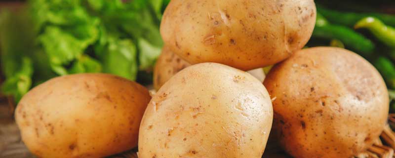 发芽马铃薯中的有毒物质是什么 发芽的马铃薯中含有什么毒素