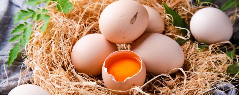 土鸡蛋的蛋黄什么颜色是正常的 土鸡蛋的蛋黄应该是什么颜色