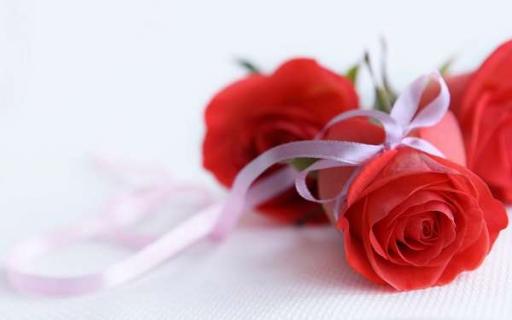 七夕情人节送女朋友几朵玫瑰花
