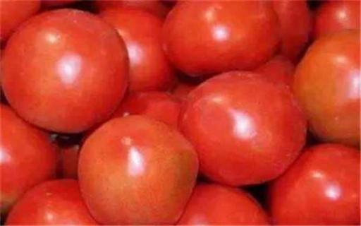 西红柿怎么吃降压 