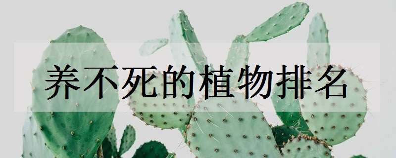 养不死的植物排名