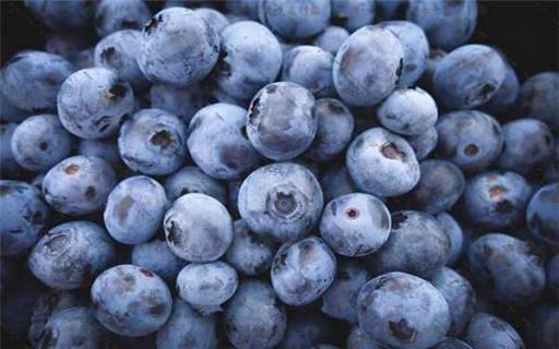 蓝莓怎么吃 蓝莓怎么吃营养价值最高