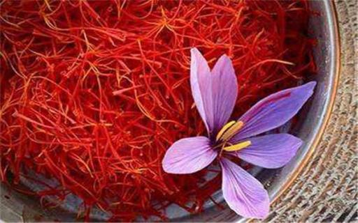 西红花和藏红花的区别 西红花和藏红花的区别的作用和功效