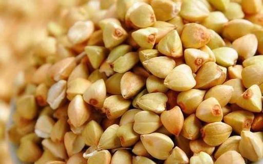 吃荞麦的禁忌（荞麦会促进肿瘤生长和扩散吗）
