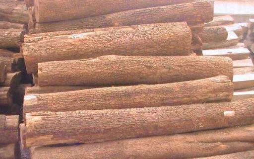 世界上最贵的木材排名 世界上最贵的木材排名第一名